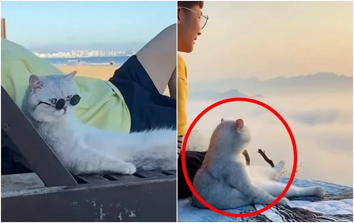 99919E3B5EEDBD41069AF3