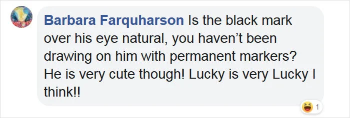 997BB73F5D595694276B6A