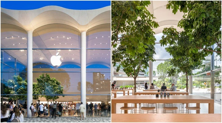 991159395D6A819F1AD84E