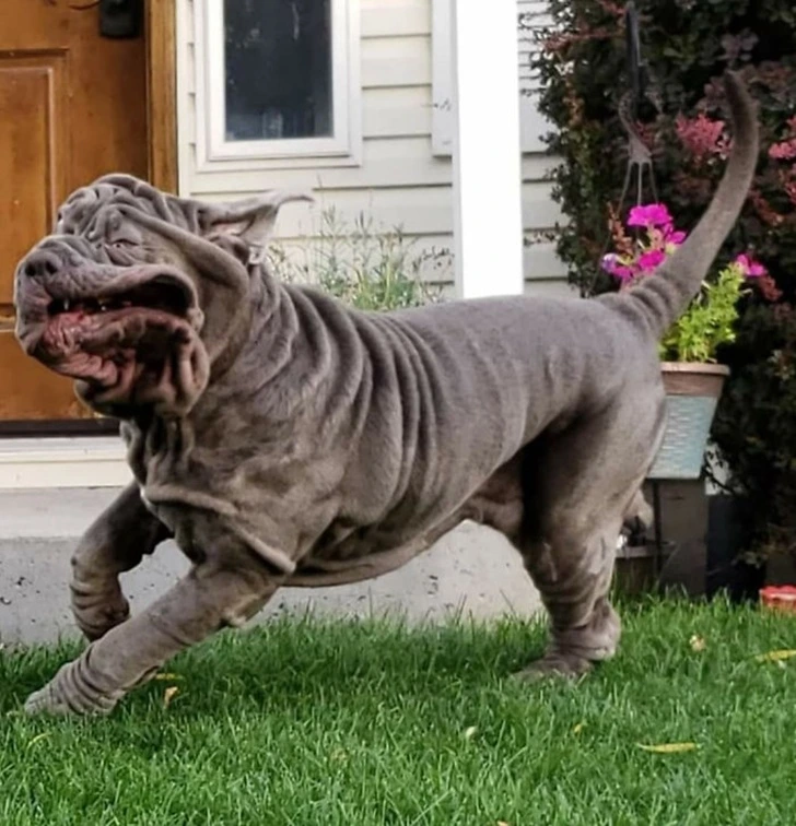 995D89435F75558C19E856