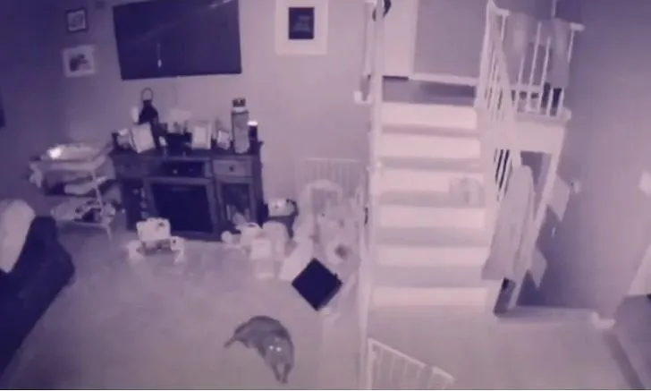 9906E43E5EEDBFE30D6E19