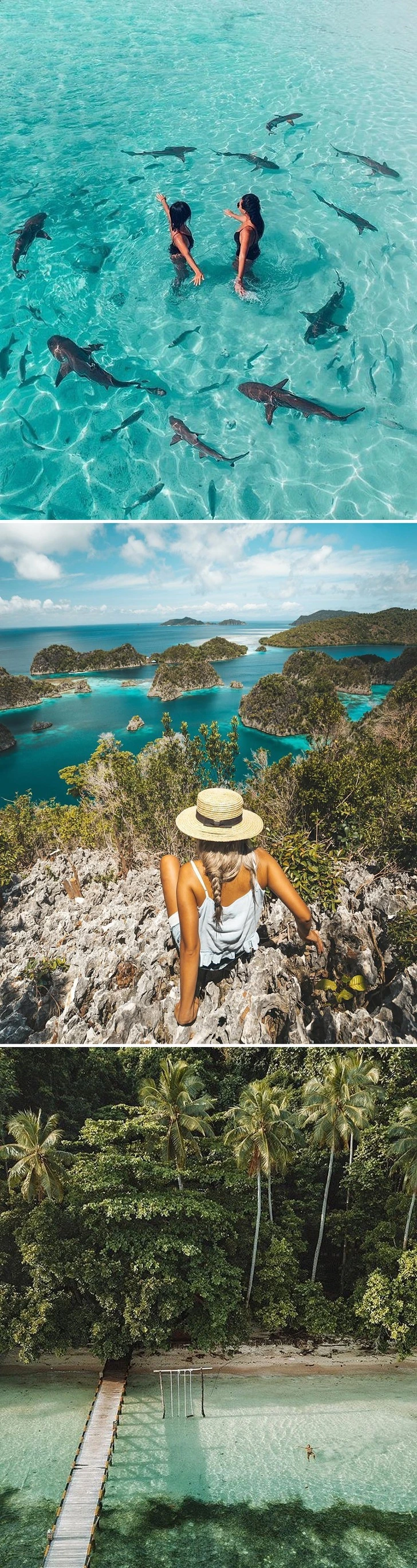 9964453F5C31AB3D181DA1