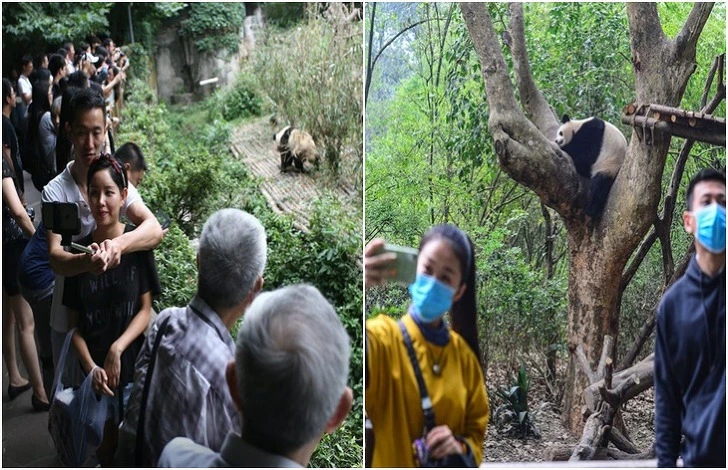 999F1B345EC1E64E0B488B