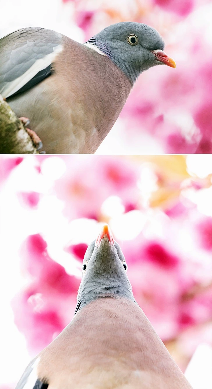 99FD444A5FF655F6068A10