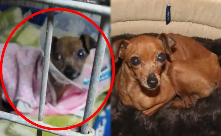 99407B3D5FE669FC047CCF