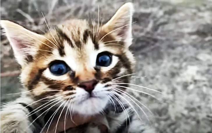 99B645345FDA82E908D570