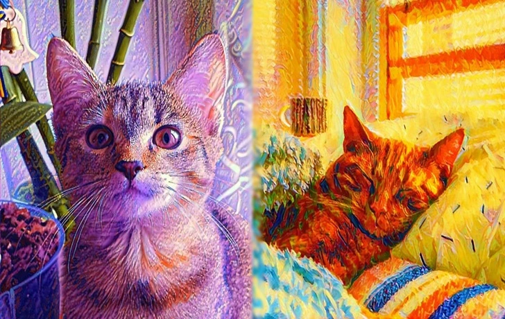 99355E3E5FC83F580A003A