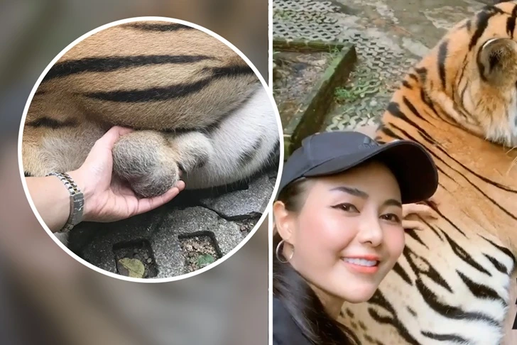 9946884B5F55756019E9F6