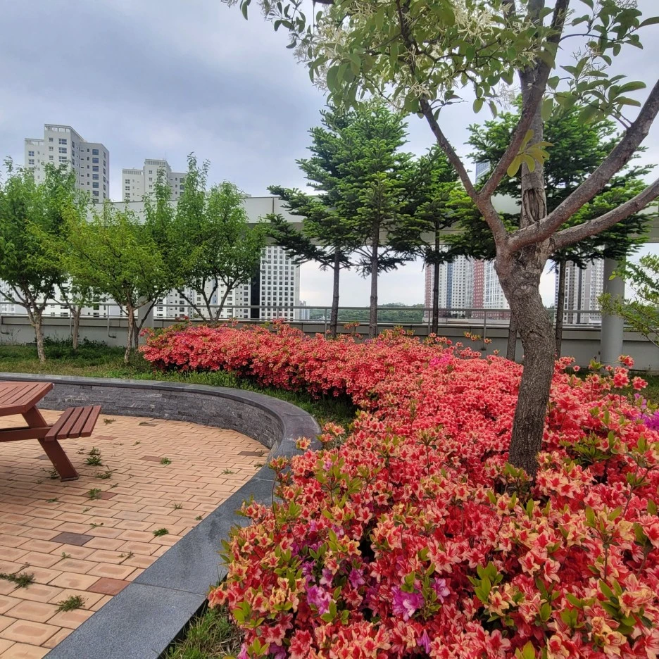 KakaoTalk_20230429_205456966_01.jpg?type=w1