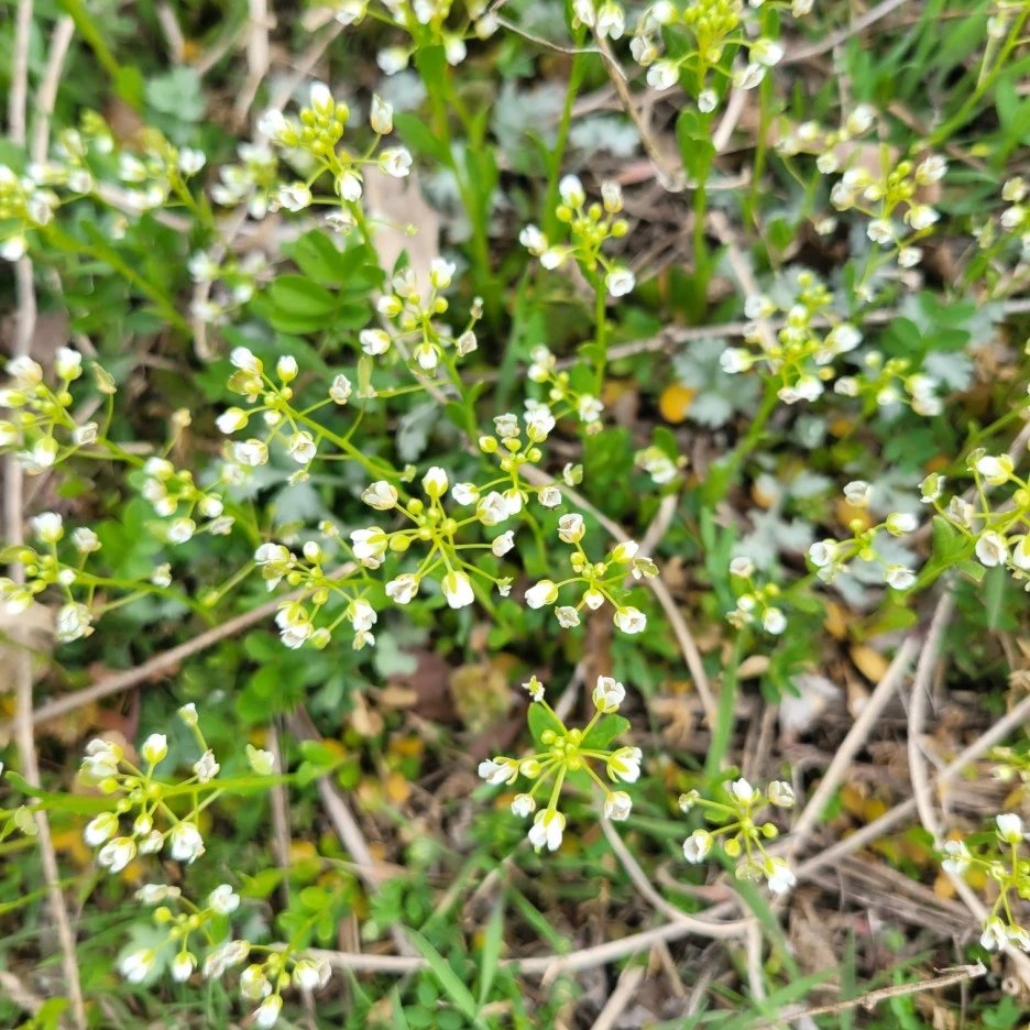 KakaoTalk_20230324_122730107_02.jpg?type=w1