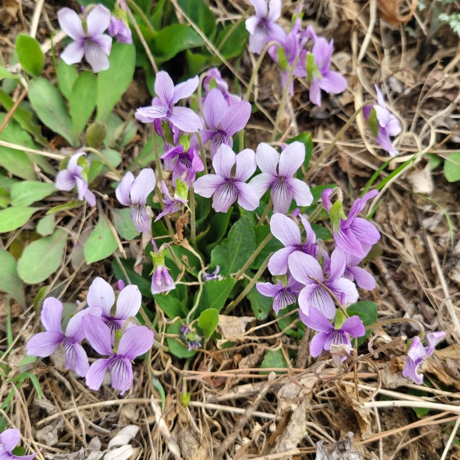 KakaoTalk_20230324_122730107_01.jpg?type=w1