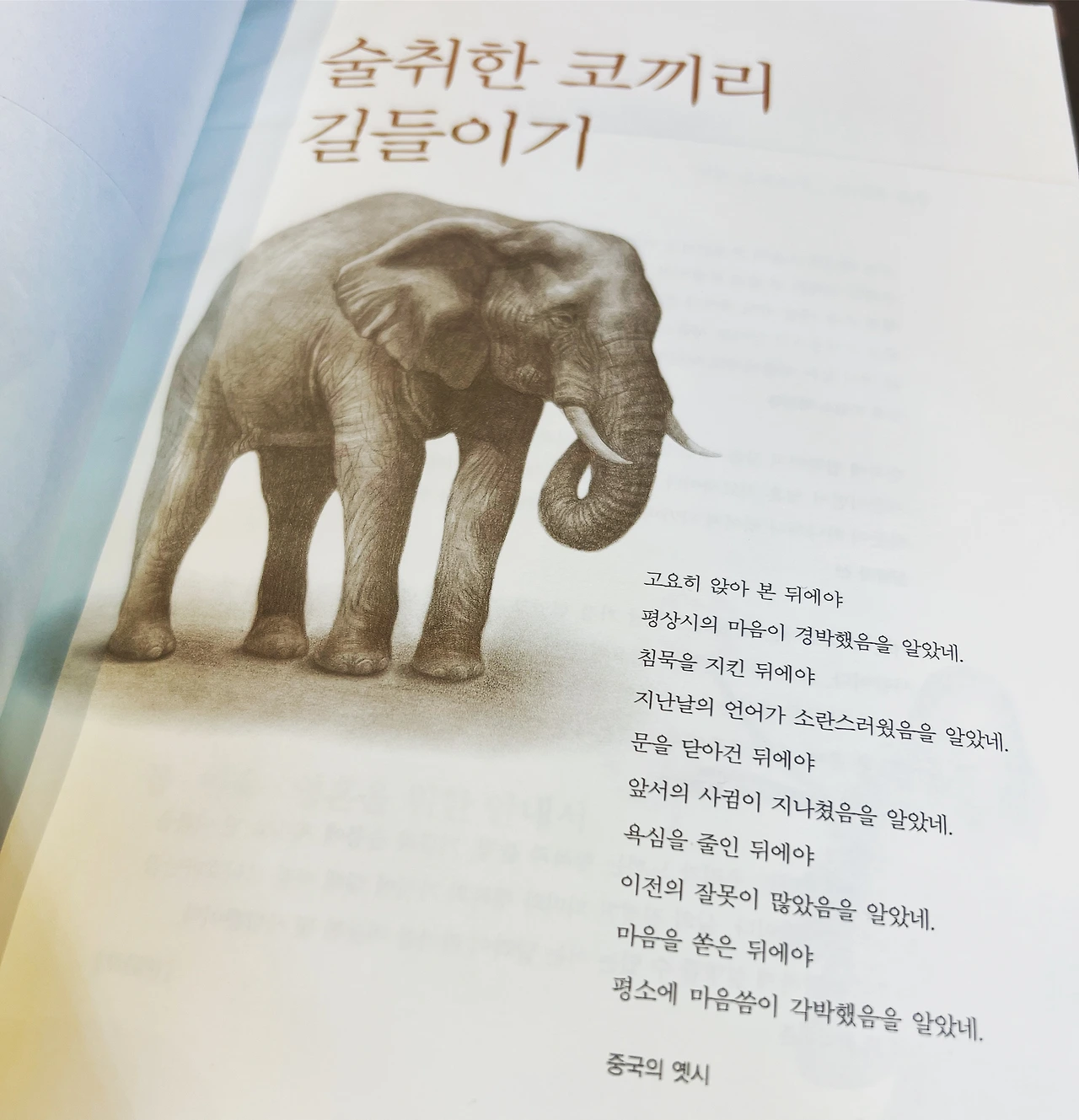 아잔 브라흐마_술취한 코끼리 길들이기.jpeg