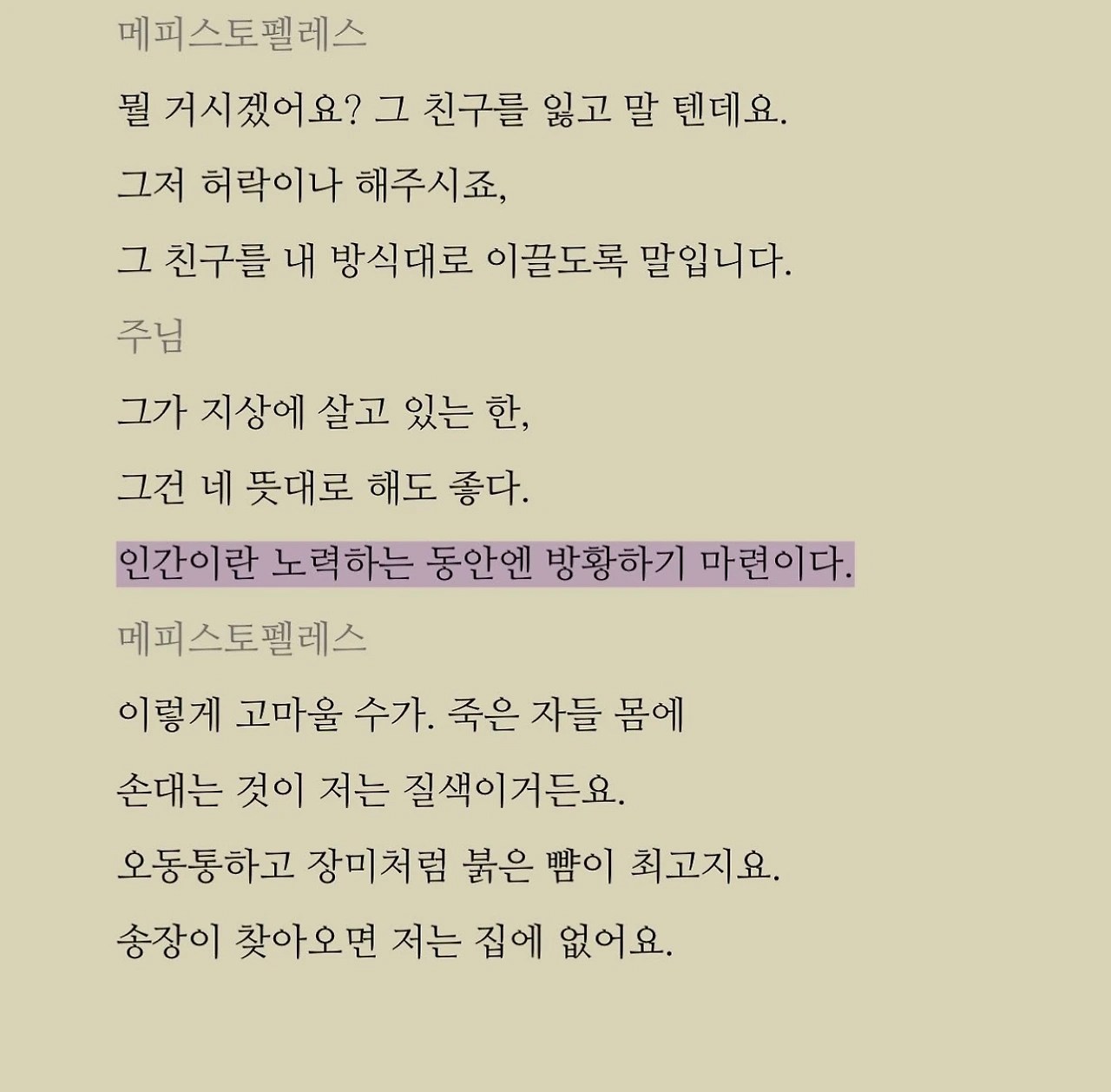 괴테_파우스트_인간이란 노력하는 동안엔 방황하기 마련이다.jpeg