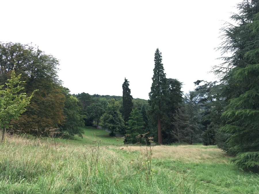 IMG_9448.JPG?type=w1