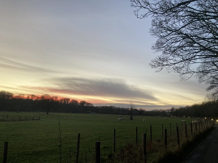 IMG_0250.jpg?type=w1