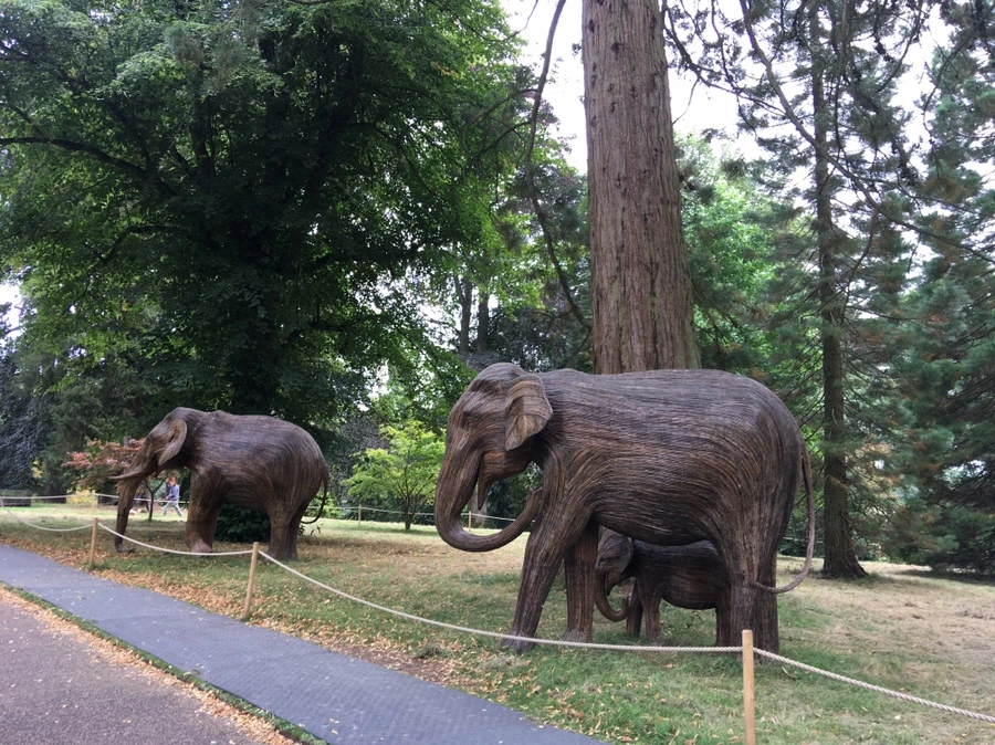 IMG_9447.JPG?type=w1