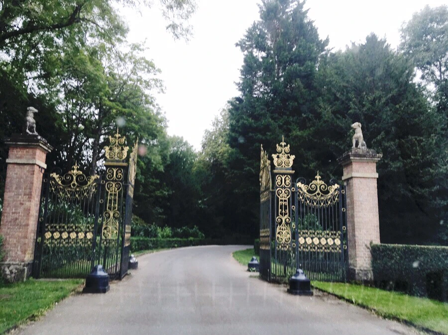 output_3707821940.jpg?type=w1