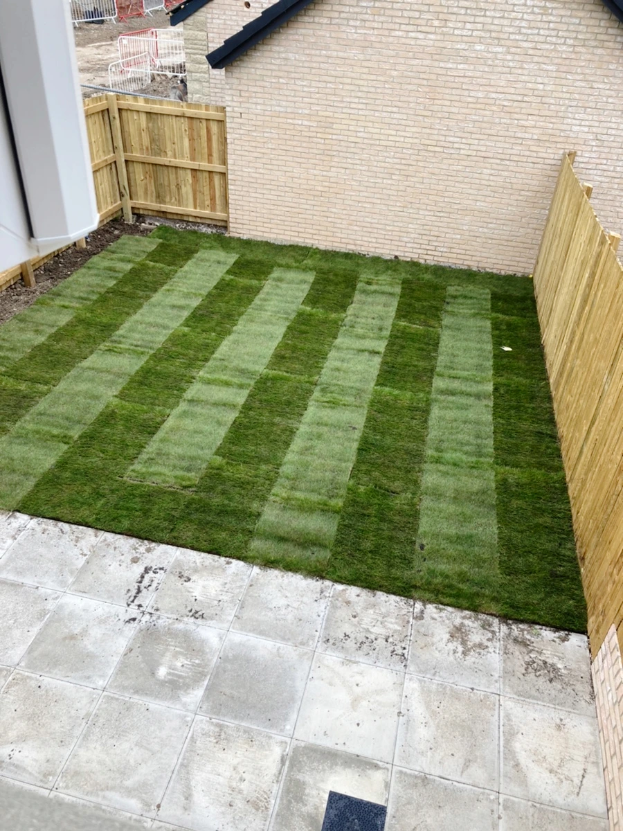 SE-6E8DABB3-3913-45A4-A611-4F38D9C38811.jpg?type=w1