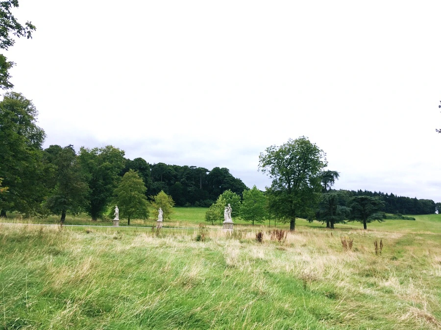 output_1512368055.jpg?type=w1