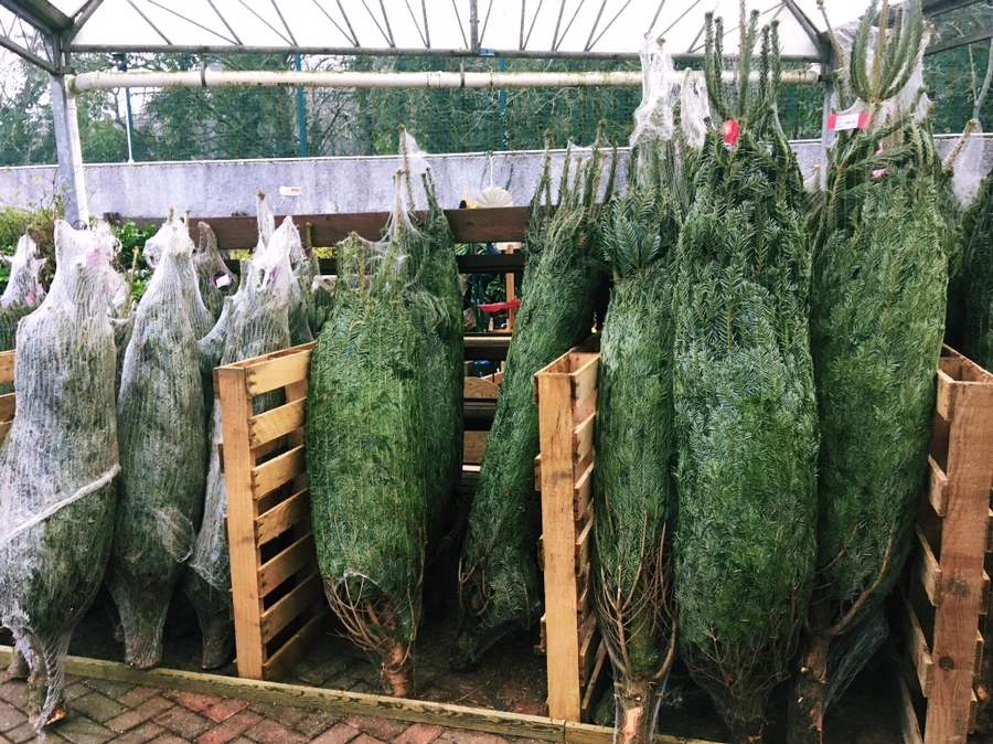 output_2906140646.jpg?type=w1