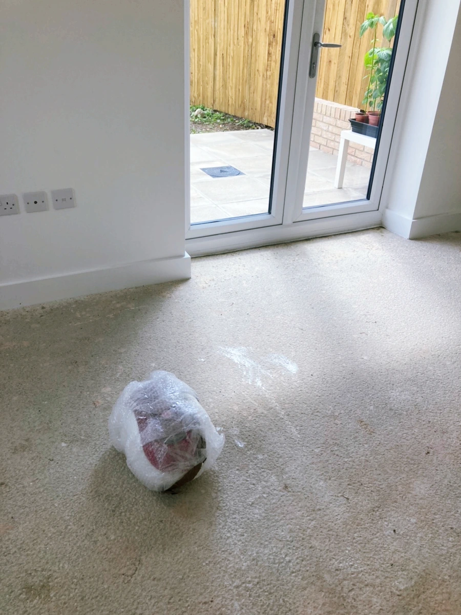 SE-54AA89A0-DB51-4527-B5D1-BD59D7DFE088.jpg?type=w1