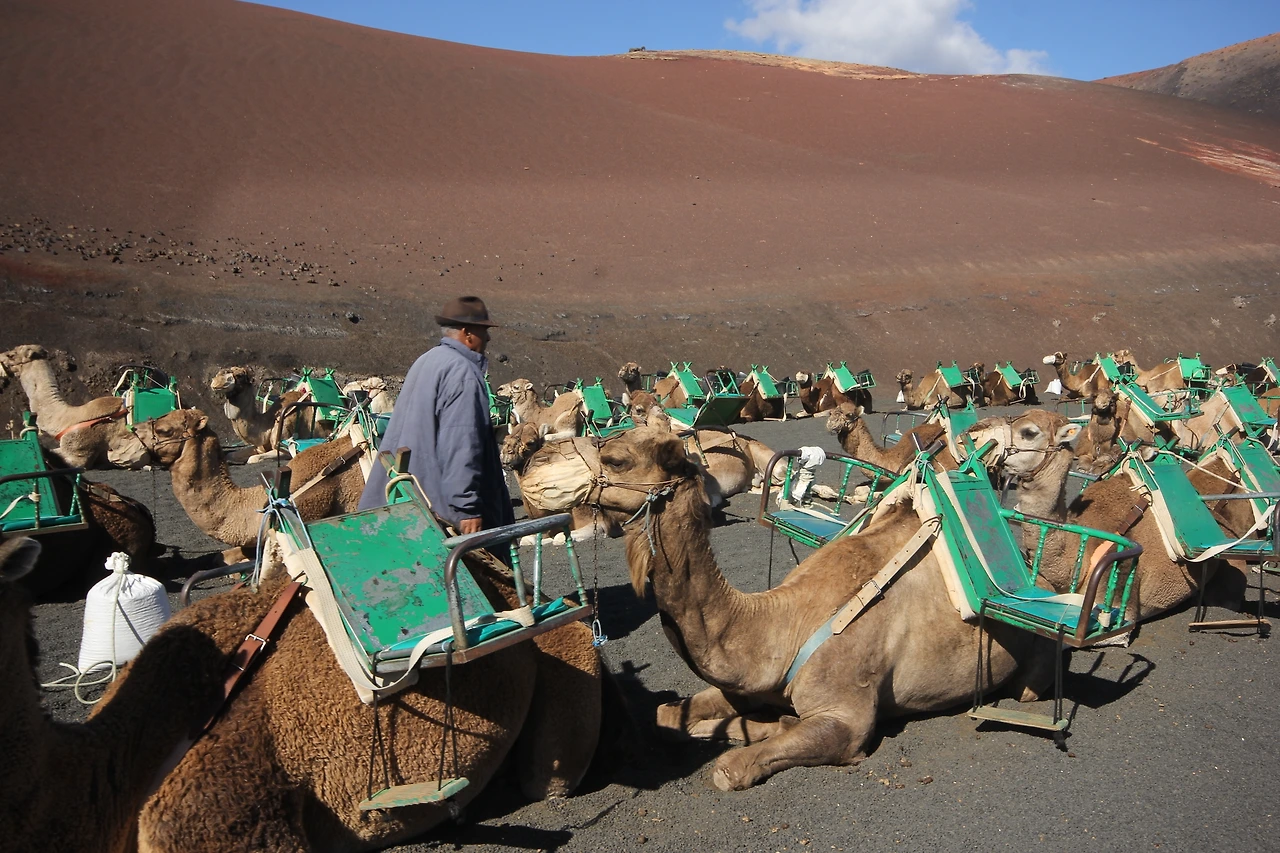 03_란사로테_화산 (38).JPG