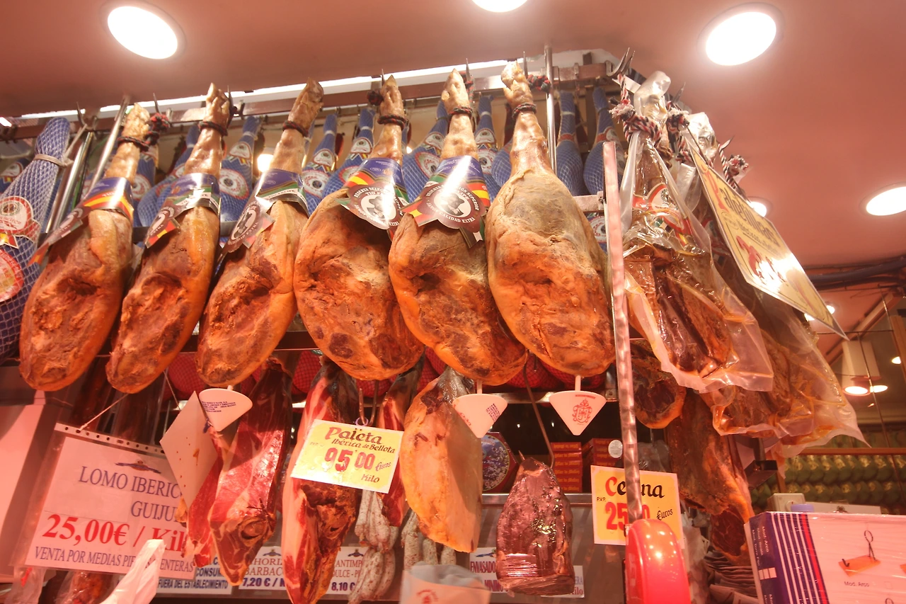 뮤세오델하몽 (12).JPG