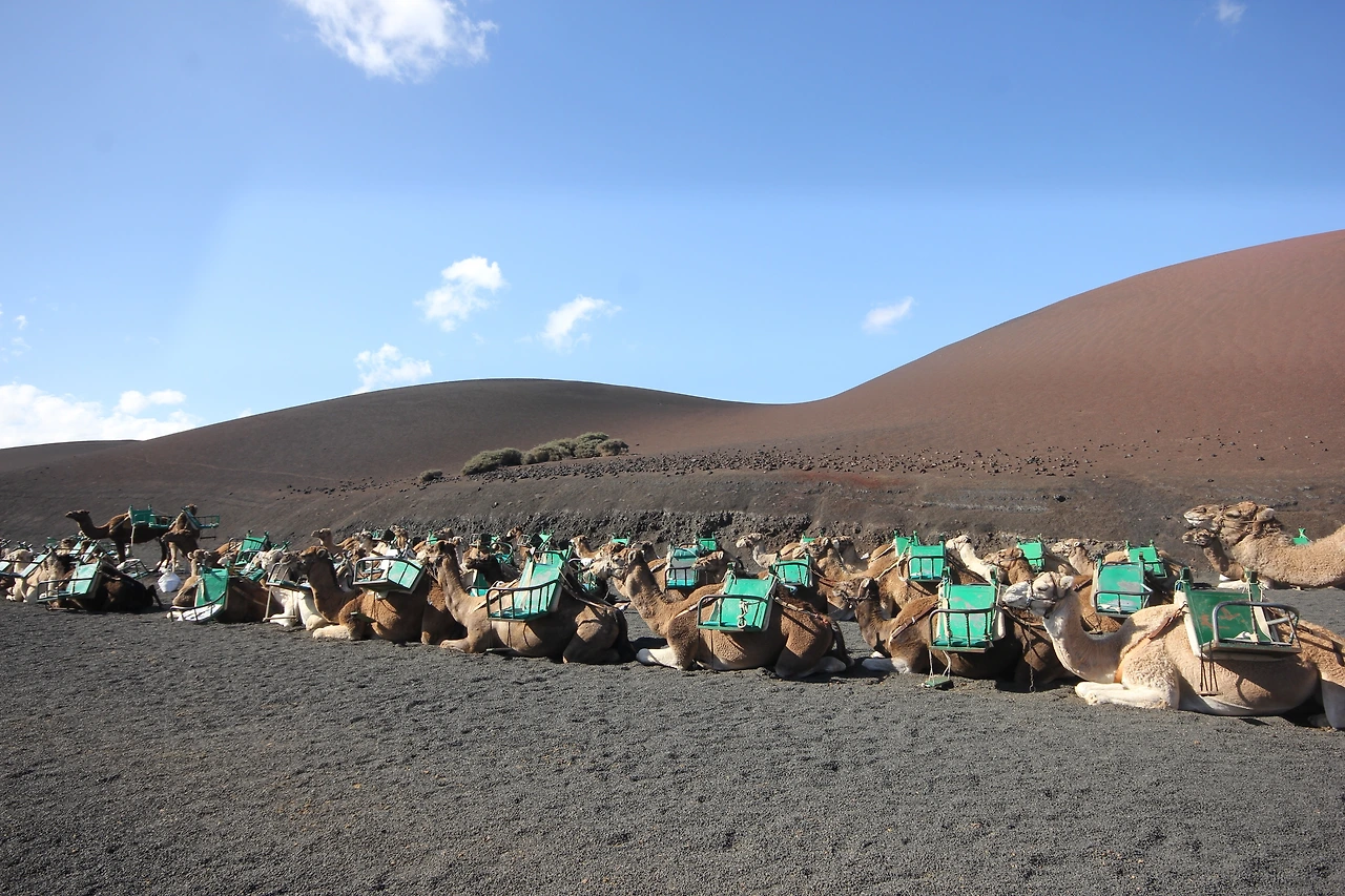 03_란사로테_화산 (33).JPG