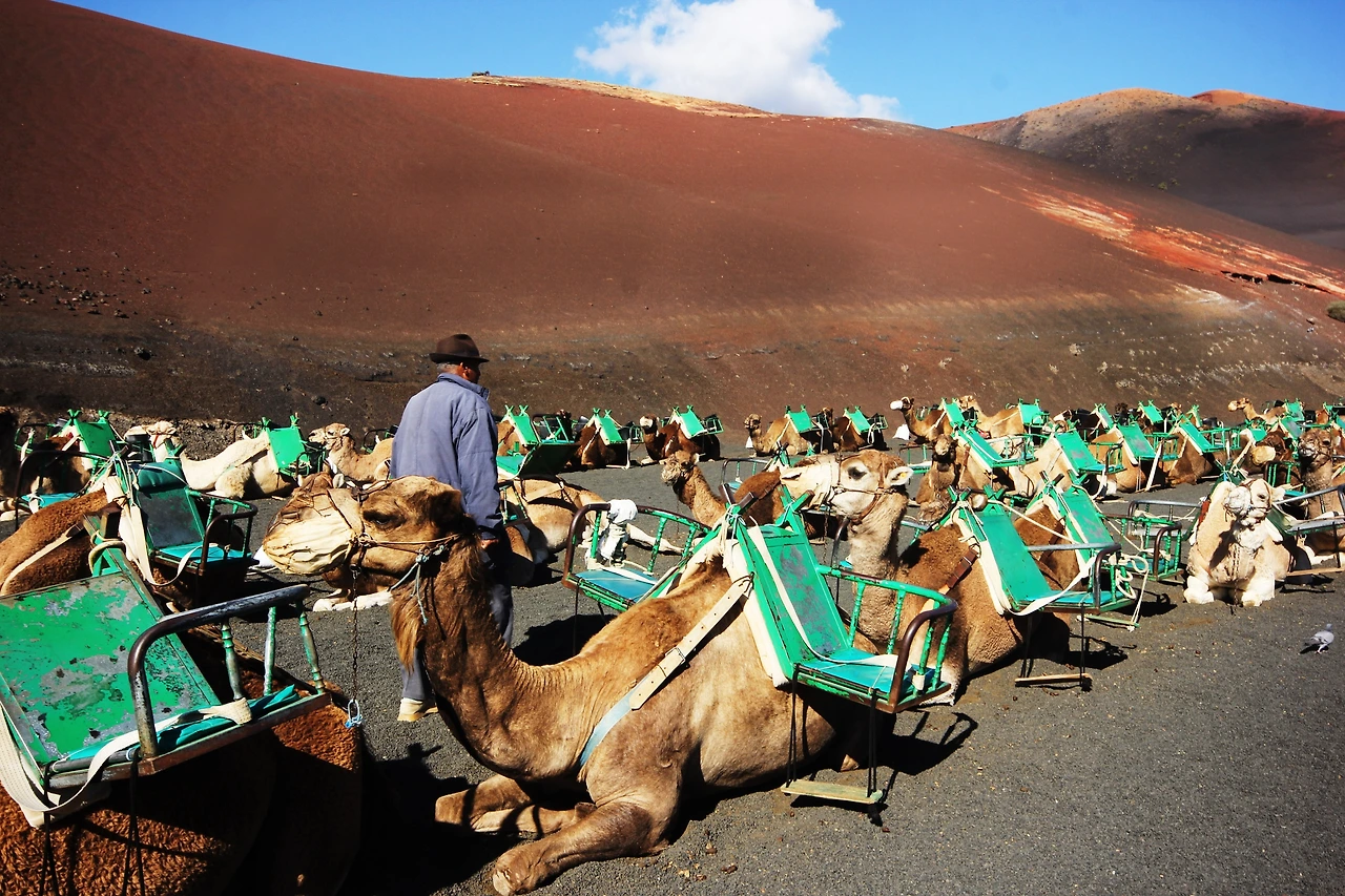 03_란사로테_화산 (39).JPG