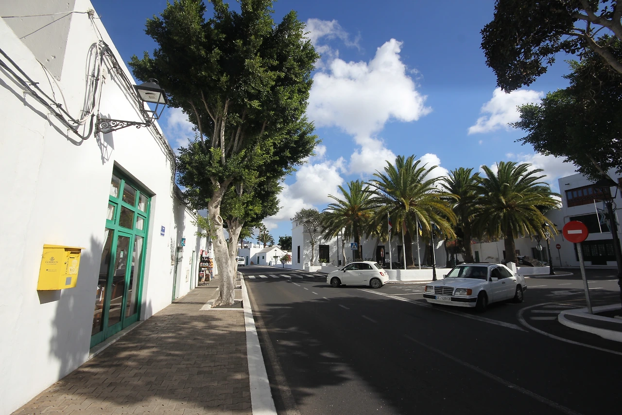 04_란사로테_초록 (2).JPG