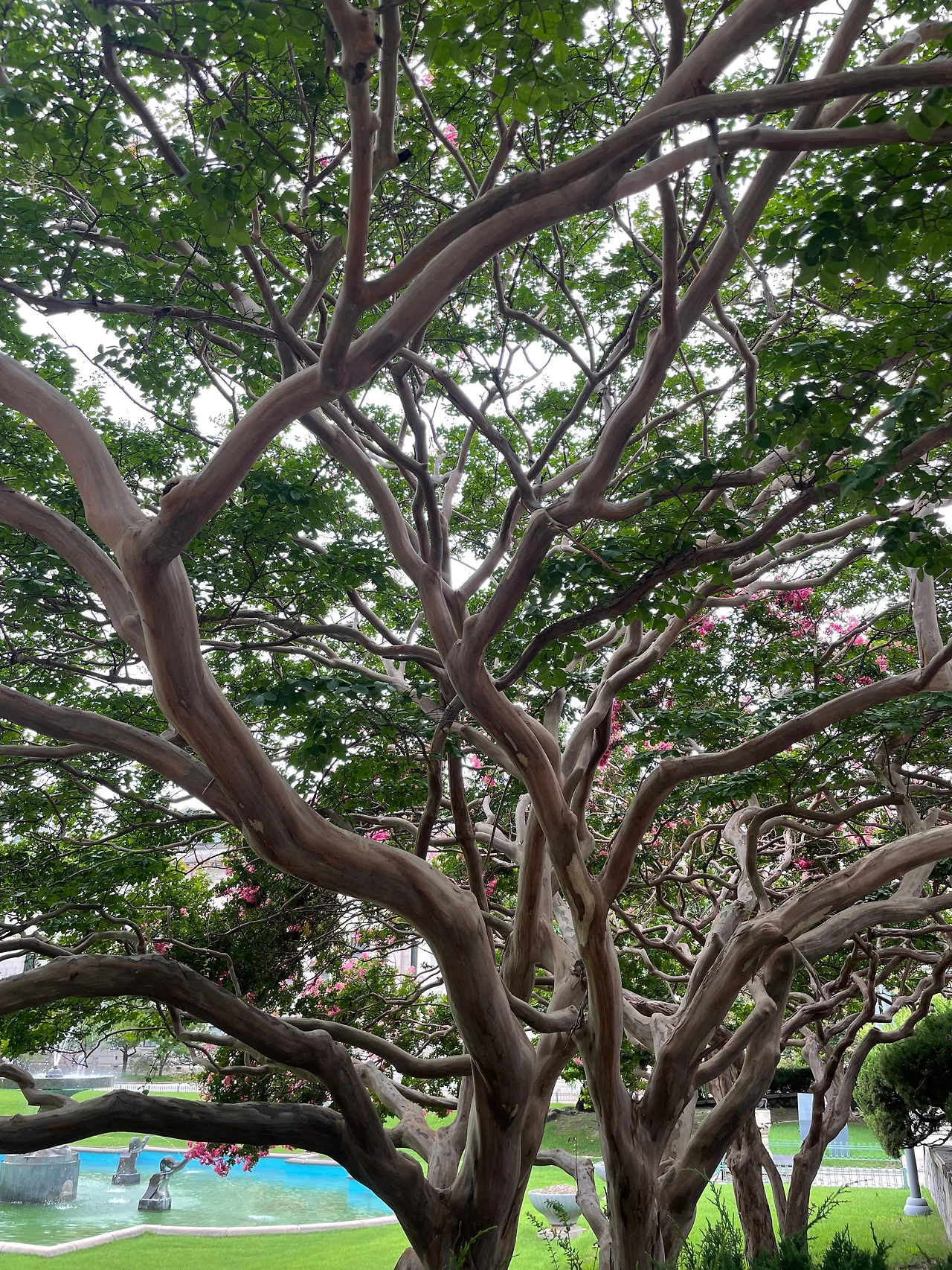 KakaoTalk_Photo_2023-06-06-23-45-50 001.jpeg