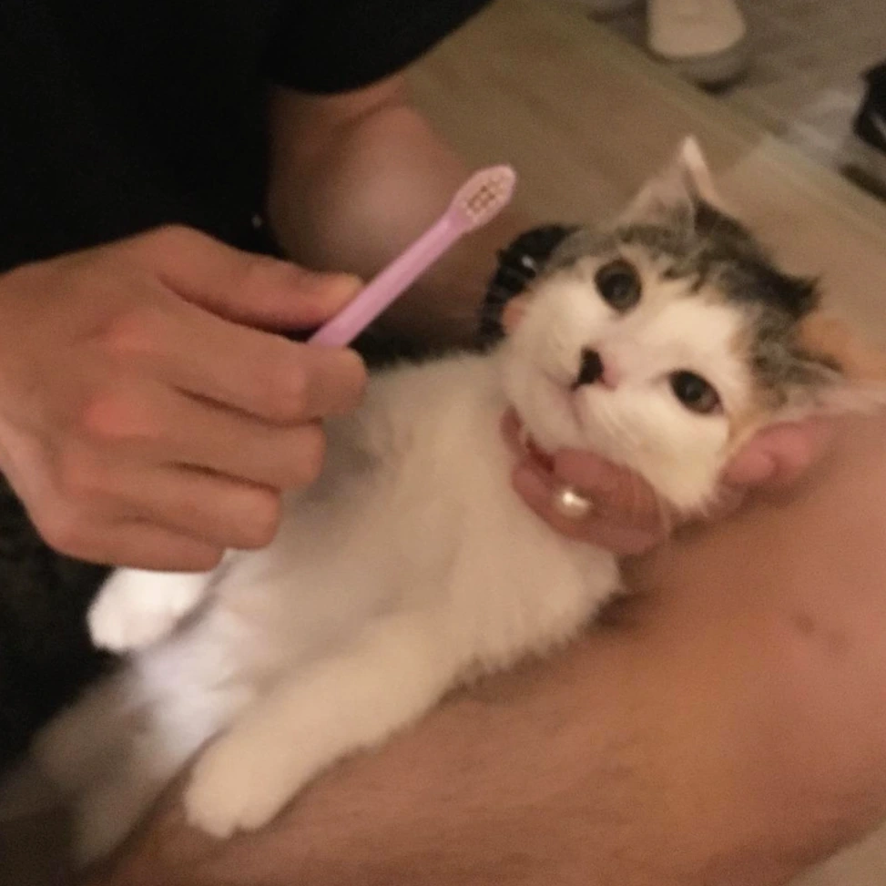 날라 이닦기2.jpeg