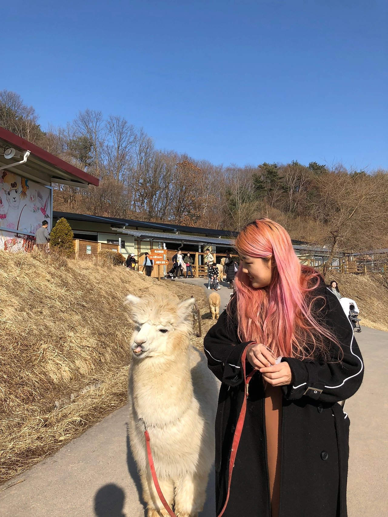 IMG_0104 복사본.JPEG