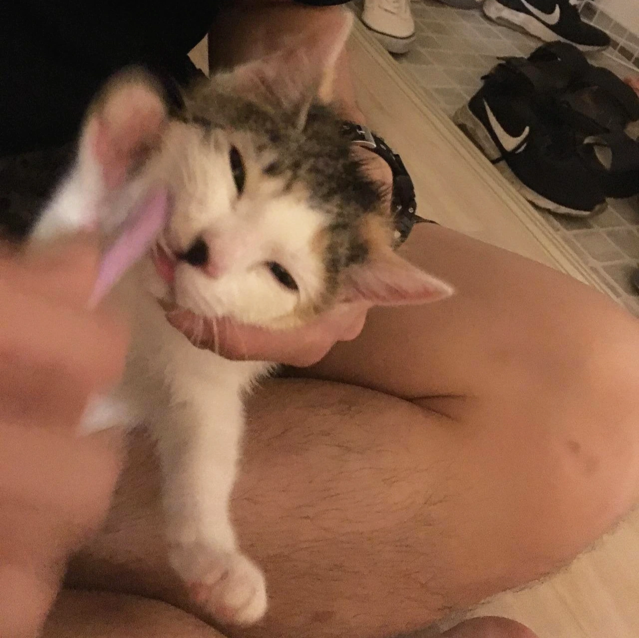 날라 이닦기3.jpeg