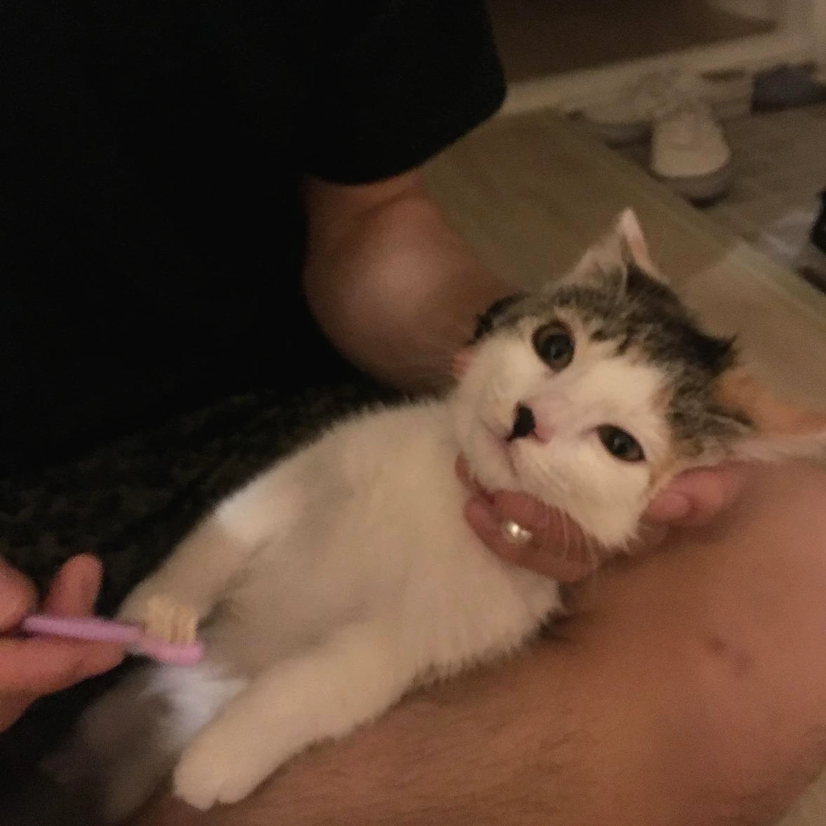 날라 이닦기.jpeg