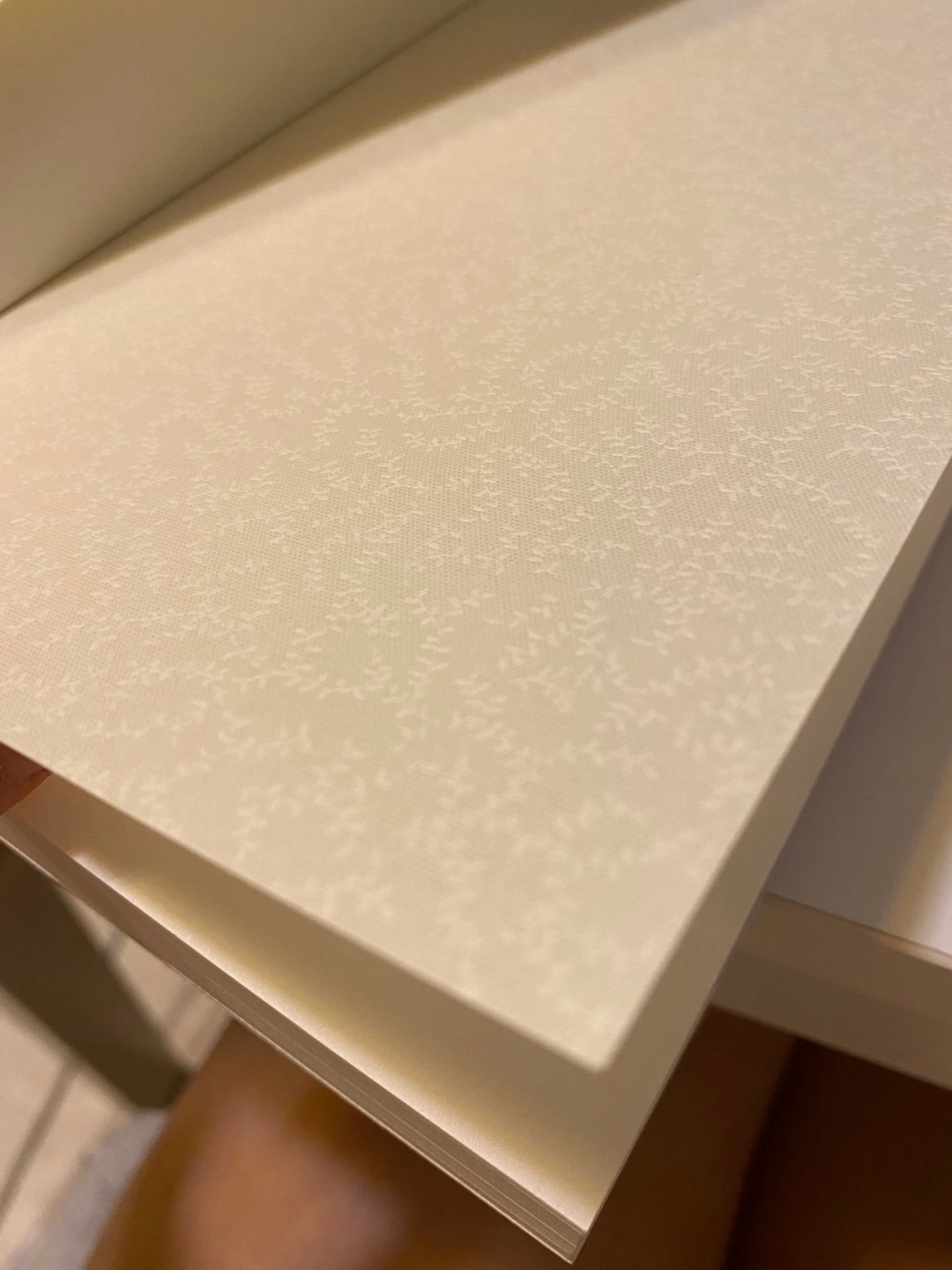 여름의 빌라 면지.jpeg