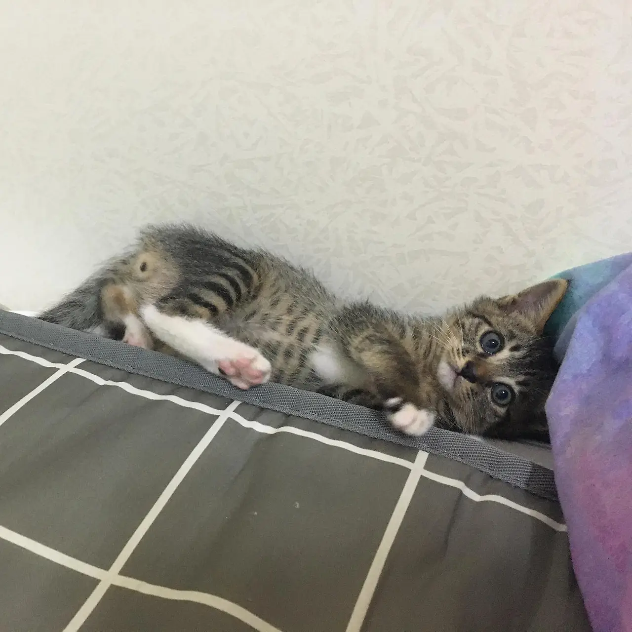 호두 처음2.jpeg