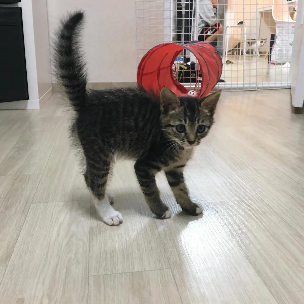 호두 처음.jpeg