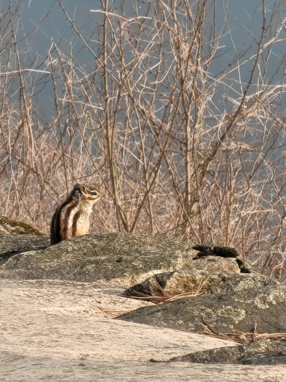 20250404%EF%BC%BF083520.jpg?type=w966