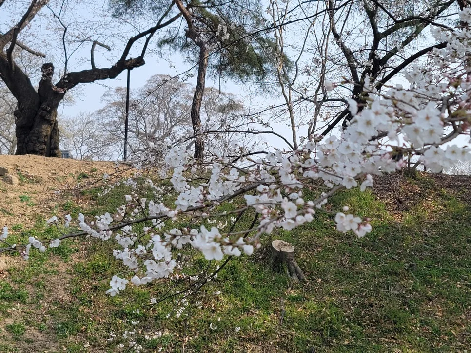 20250404%EF%BC%BF092004.jpg?type=w966