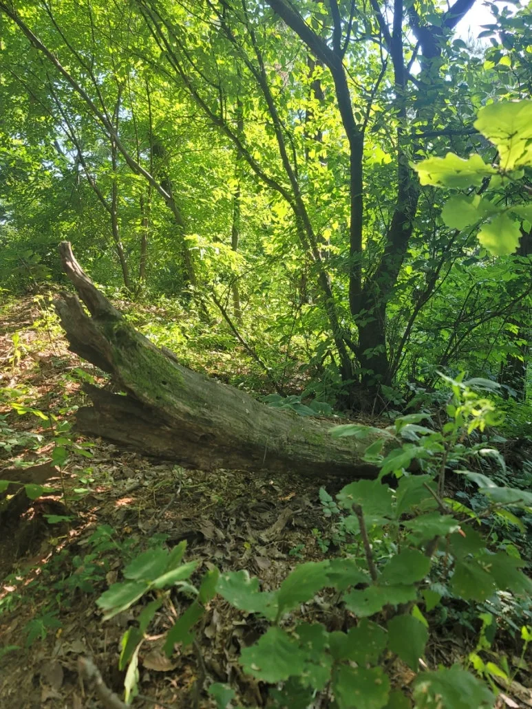 20240531%EF%BC%BF162643.jpg?type=w773