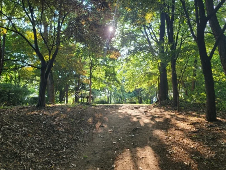 20240531%EF%BC%BF172546.jpg?type=w773