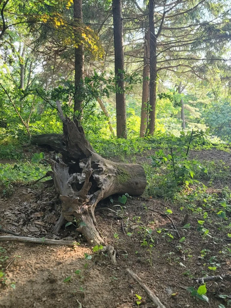 20240531%EF%BC%BF172748.jpg?type=w773