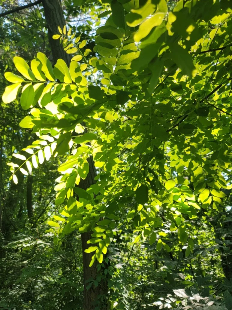 20240531%EF%BC%BF160516.jpg?type=w773