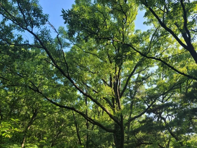 20240531%EF%BC%BF164031.jpg?type=w773