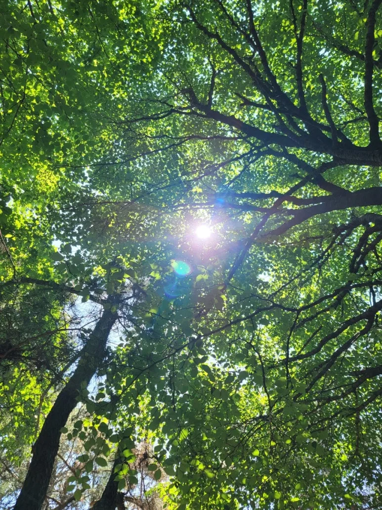 20240602%EF%BC%BF114842.jpg?type=w773