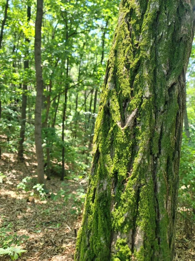 20240602%EF%BC%BF121056.jpg?type=w773