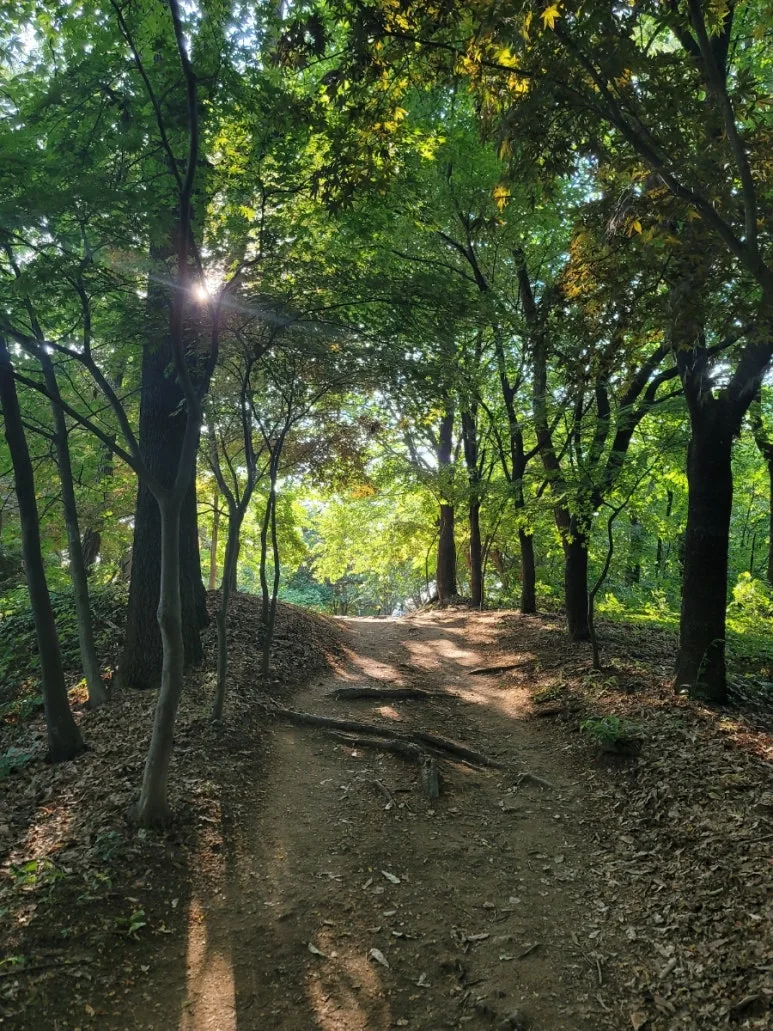 20240531%EF%BC%BF172516.jpg?type=w773