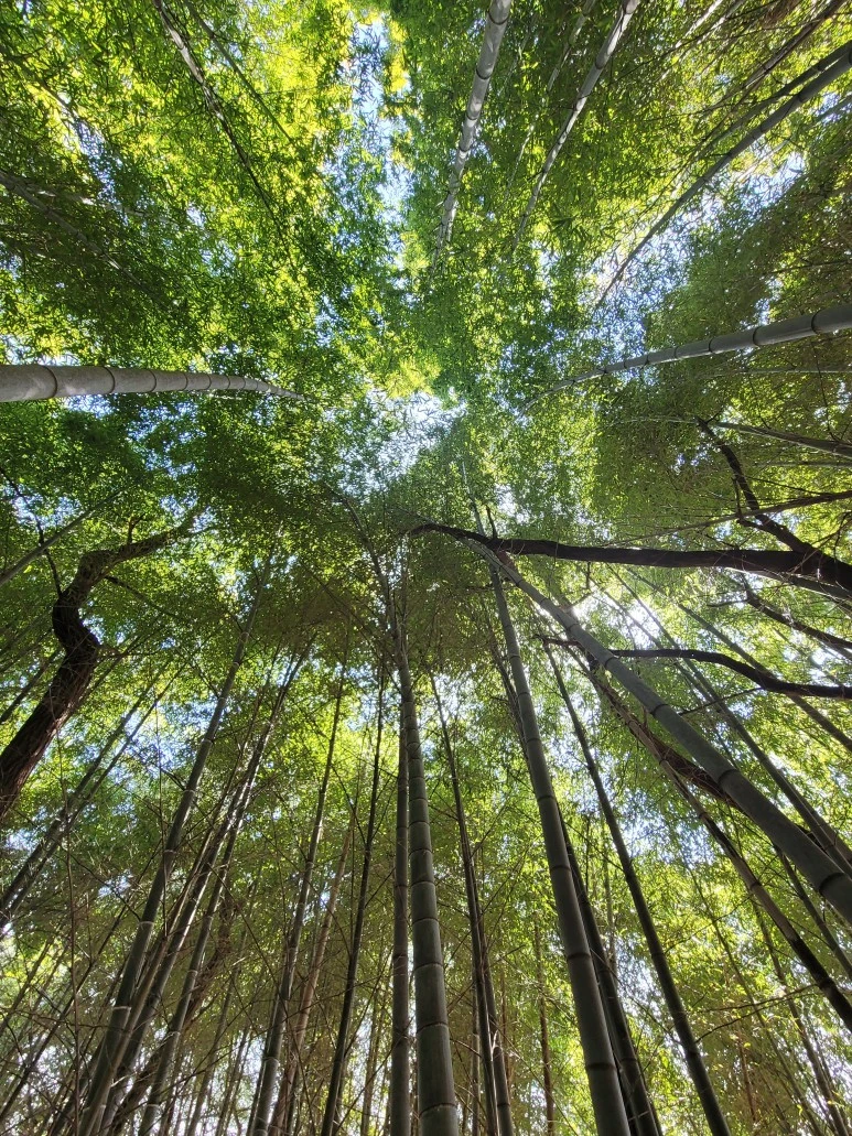 20240316_105404.jpg?type=w773