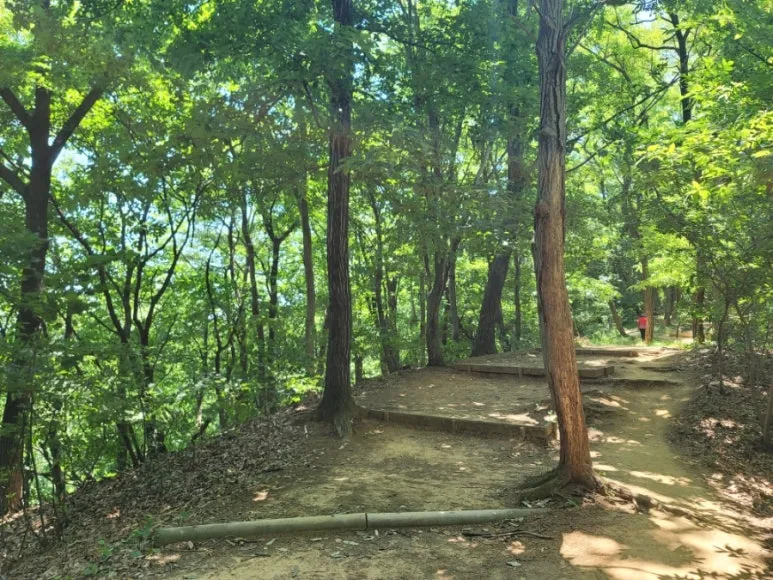 20240602%EF%BC%BF114007.jpg?type=w773